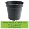 plantlovers umgetopft in frische erde mit neuem topf 220913