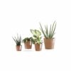 Ecopots Amsterdam Mini Terracotta
