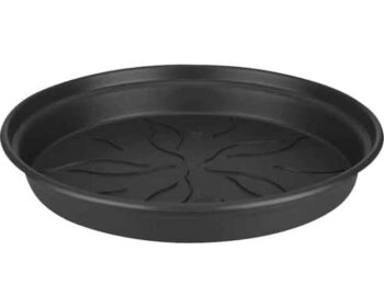 Unterteller Green Basics plantlovers