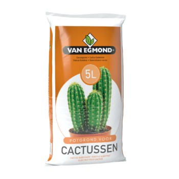Kakteenerde 5 Liter VanEgmond Kaktus