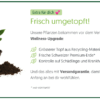 Bild frisch umgetopft 25 plantlovers