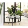 Vibes fold front mehrere pflanzen 2 weiss plantlovers