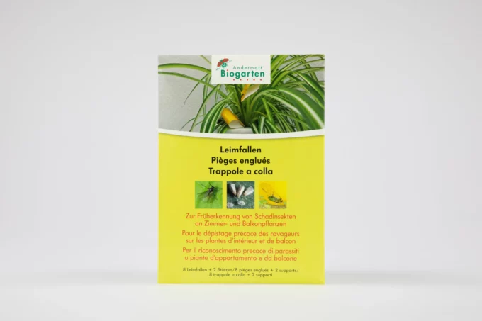 Andermatt Biogarten Leimfallen gegen Insekten plantlovers