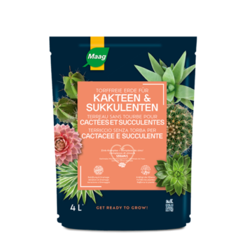 Kakteen & Sukkulenten Erde