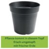 plantlovers_umgetopft