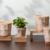 Terima Kasih Gaby Jute alle 2 plantlovers
