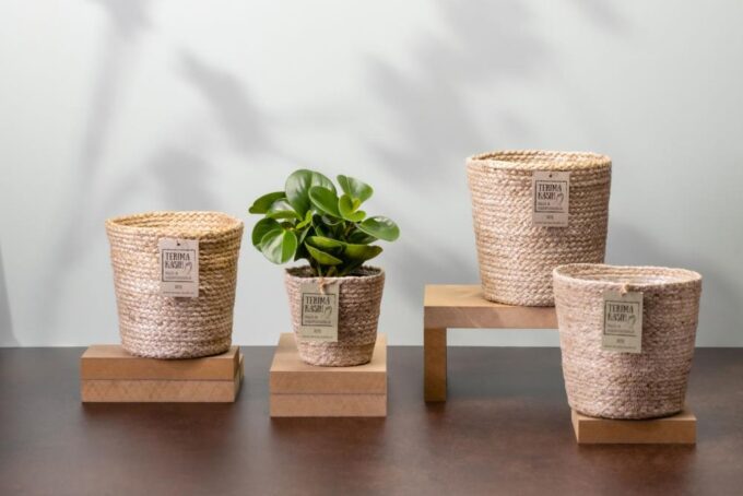 Terima Kasih Gaby Jute alle 2 plantlovers