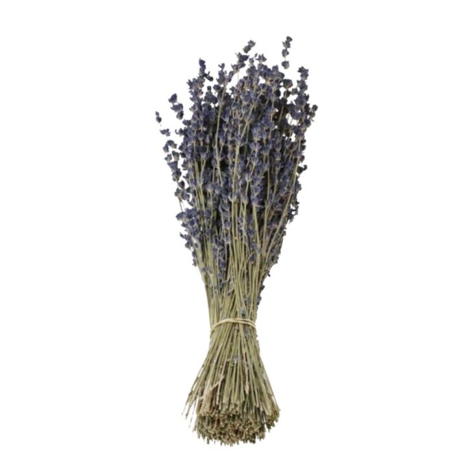 Trockenblumen Lavendel Extra natur plantlovers