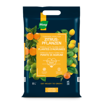 Maag Zitruspflanzenerde 8 Liter