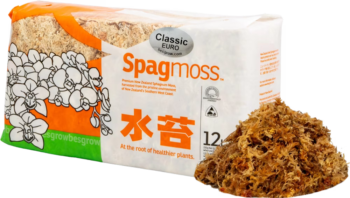 Spagmoss-Spaganum-moos-150