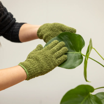 Pflanzen Handschuhe zum abstauben Pflanzen reinigen